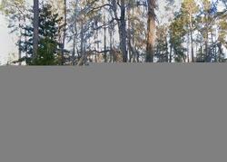 Pre-foreclosure in  BROOKSIDE DR Orangeburg, SC 29115