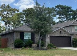 Pre-foreclosure in  LAKE WILLOUGHBY LN Houston, TX 77044