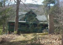 Pre-foreclosure in  MCDUFFEE RD Center Tuftonboro, NH 03816