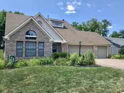 Pre-foreclosure in  SILVER TREE DR Indianapolis, IN 46236