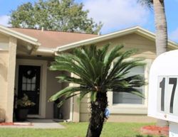 Pre-foreclosure in  LAKEVIEW VILLAGE DR Brandon, FL 33510