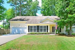 Pre-foreclosure in  BUNKHOUSE DR Charleston, SC 29414