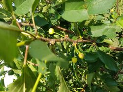  Kingston Pike, Circleville OH