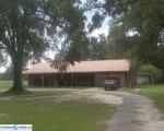 Pre-foreclosure Listing in TUNG OIL RD LEAKESVILLE, MS 39451