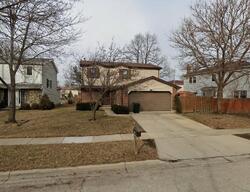 Pre-foreclosure in  RANDI LN Hoffman Estates, IL 60169