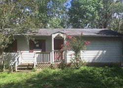 Pre-foreclosure Listing in DIXIE ST HAWTHORNE, FL 32640