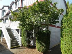  10th St Se Apt B1, Puyallup WA