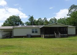 Pre-foreclosure Listing in STOKES LANDING RD PALATKA, FL 32177