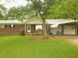 Pre-foreclosure Listing in LESTER PLUNK RD BETHEL SPRINGS, TN 38315