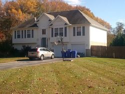 Pre-foreclosure in  FALLING LEAF LN Magnolia, DE 19962