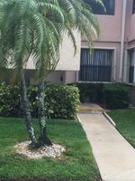 Pre-foreclosure in  TOUCHSTONE PL B Palm Beach Gardens, FL 33418