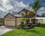 Pre-foreclosure Listing in COLEWOOD LN DOVER, FL 33527