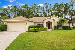 Pre-foreclosure in  WOODHOLLOW LN Palm Coast, FL 32164