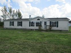 Pre-foreclosure Listing in BED ROCK LN RINEYVILLE, KY 40162