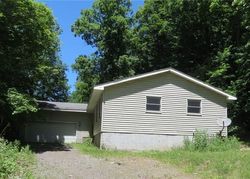 Pre-foreclosure Listing in HOGBACK HILL RD PALMYRA, NY 14522