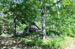 Pre-foreclosure Listing in POOR MOUNTAIN RD BENT MOUNTAIN, VA 24059