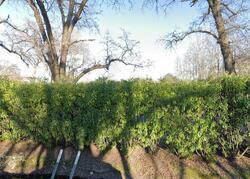  Barton Rd, Granite Bay CA