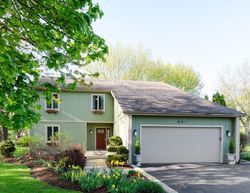 Pre-foreclosure Listing in WINMOOR DR DUNDEE, IL 60118