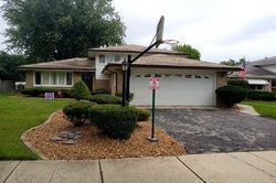 Pre-foreclosure in  S MICHAEL DR Palos Hills, IL 60465