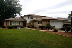 Pre-foreclosure in  S MICHAEL DR Palos Hills, IL 60465