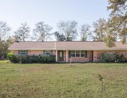 Pre-foreclosure Listing in STANFIELD RD PATTERSON, GA 31557