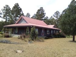 Pre-foreclosure in  OLD KENFIELD RD Twin City, GA 30471