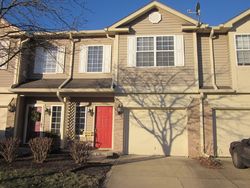 Pre-foreclosure in  NIGHTHAWK DR Indianapolis, IN 46254
