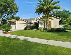 Pre-foreclosure in  WAKEVIEW DR Orange Park, FL 32065