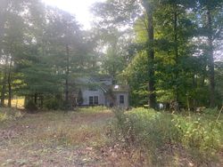 Pre-foreclosure Listing in SUNNY CT LACKAWAXEN, PA 18435