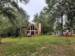 Pre-foreclosure Listing in HOLLOWAY RD CARRIERE, MS 39426