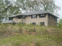 Pre-foreclosure in  JOHN RANKIN HWY Fulton, MS 38843