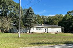 Pre-foreclosure Listing in DUCK LAKE RD WHITEHALL, MI 49461