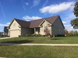 Pre-foreclosure Listing in APPLE CIDER LN NEWPORT, MI 48166