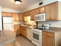 Pre-foreclosure Listing in RANDOLPH ST APT D9 FOREST PARK, IL 60130