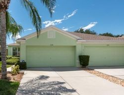 Pre-foreclosure in  CAPTIVA KAY DR Riverview, FL 33569