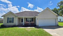 Pre-foreclosure Listing in PECAN ST RAY CITY, GA 31645