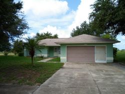 Pre-foreclosure Listing in SANDY LN GRAND ISLAND, FL 32735