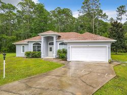 Pre-foreclosure in  UTIDE CT Palm Coast, FL 32164