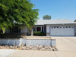 Pre-foreclosure in  E CARTER RD Phoenix, AZ 85042
