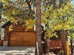 Pre-foreclosure in  BALSAM DR Big Bear Lake, CA 92315