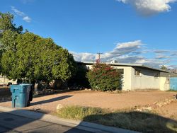 Pre-foreclosure in  S PALO VERDE DR Apache Junction, AZ 85120