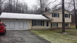Pre-foreclosure Listing in KILE RD CHARDON, OH 44024