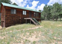 Pre-foreclosure in  MAROON LAKE CIR Divide, CO 80814