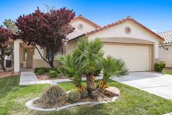 Pre-foreclosure in  WILD PONY AVE North Las Vegas, NV 89031