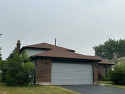 Pre-foreclosure in  WHITE BIRCH LN Matteson, IL 60443