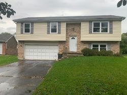 Pre-foreclosure in  NORMAN DR Cary, IL 60013