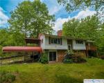 Pre-foreclosure Listing in WOLF PEN BR SPRUCE PINE, NC 28777