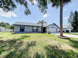 Pre-foreclosure in  CREEK WOODS CIR Saint Cloud, FL 34772