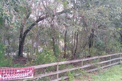 Pre-foreclosure in  COUNTY ROAD 455 Clermont, FL 34715