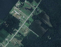  Houston Branch Rd, Federalsburg MD